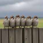 В России стартует масштабная перепись воробьёв - кто может участвовать и зачем это нужно